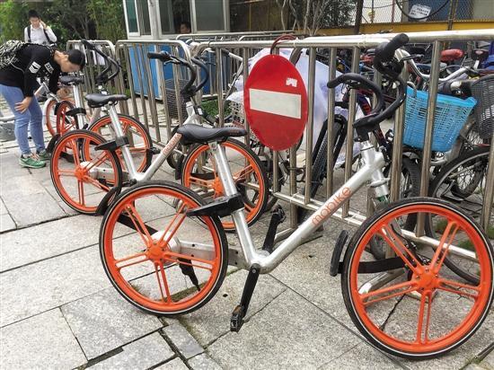 網(wǎng)約單車尷尬：車身貼騙錢二維碼，管理靠“獵人”