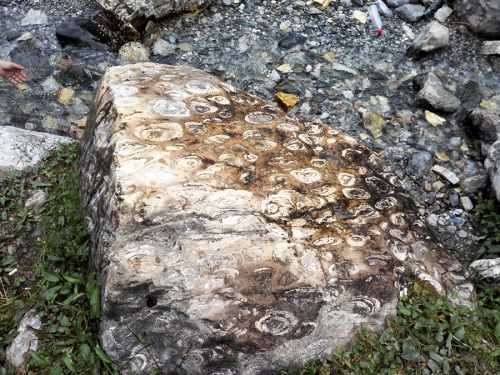 362984_wangyu_1476240200220