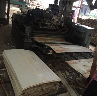 從圓木到板皮，你需要知道的幕后制造絕招